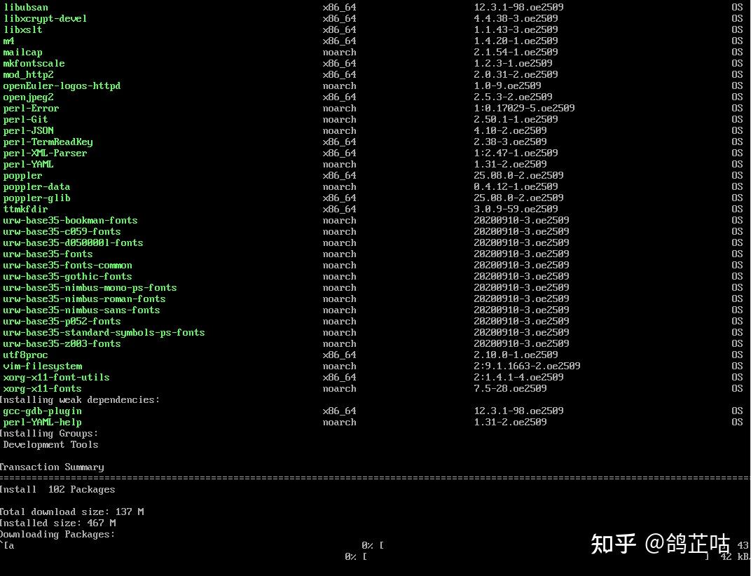企业级易用标杆实锤！openEuler DNF 包管理 + Oepkgs 仓库 部署效率全流程实测 - 知乎
