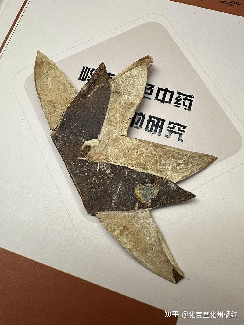 化橘红皮和果切片哪个好 化州橘红皮好还是片好 - 知乎