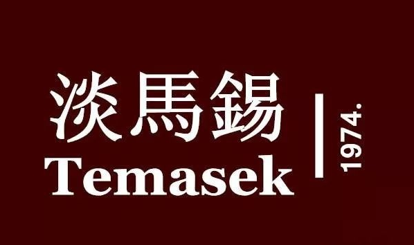 幻塔商业案例第九讲： 浅谈新加坡最强国企淡马锡（Temasek）的商业布局 - 知乎