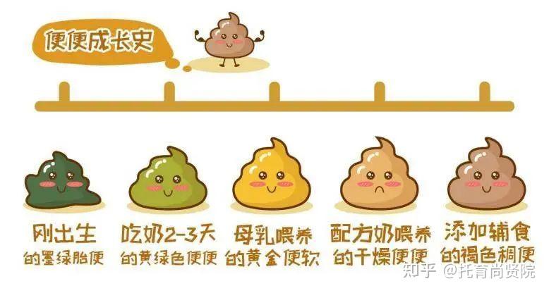 托幼教师一图了解——宝宝便便图谱大全 - 知乎
