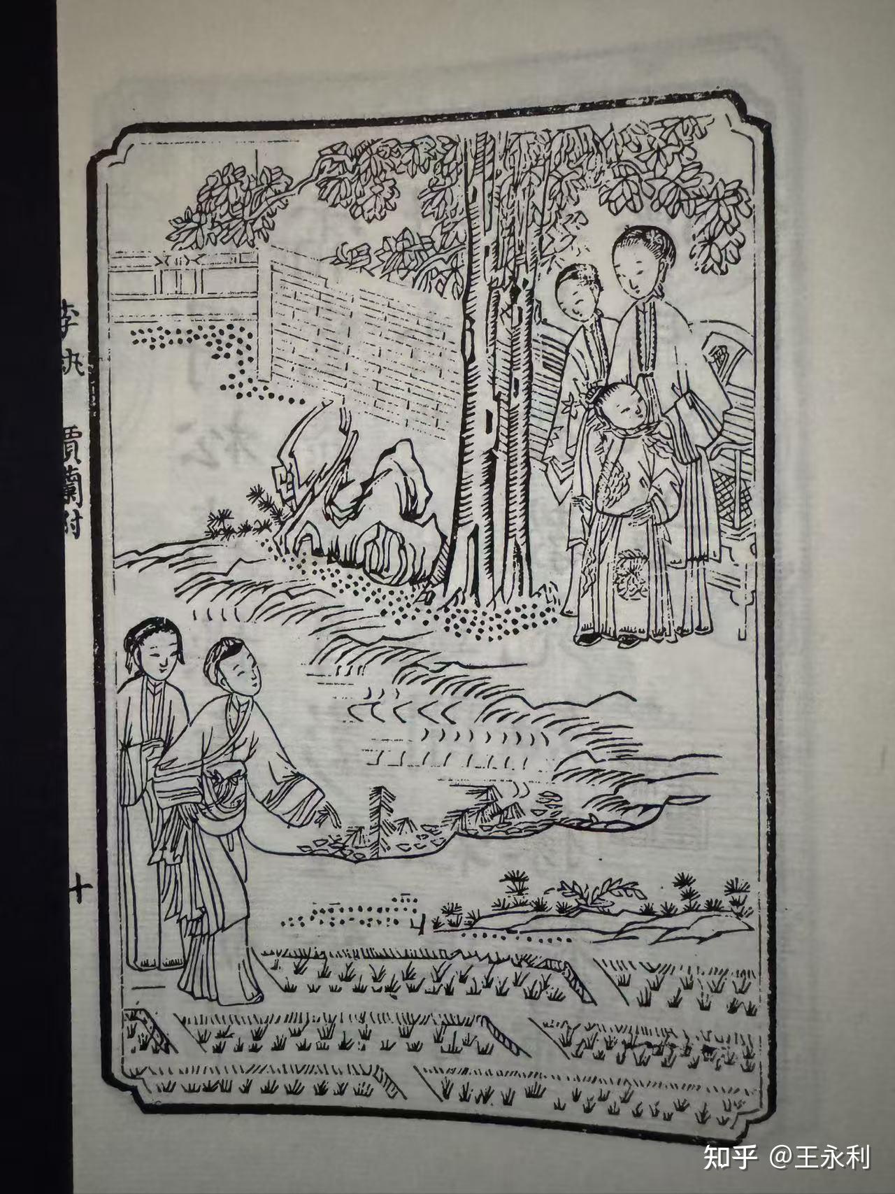 众人称赞的“好大嫂”李纨,却是礼教圣坛上的活祭 - 知乎