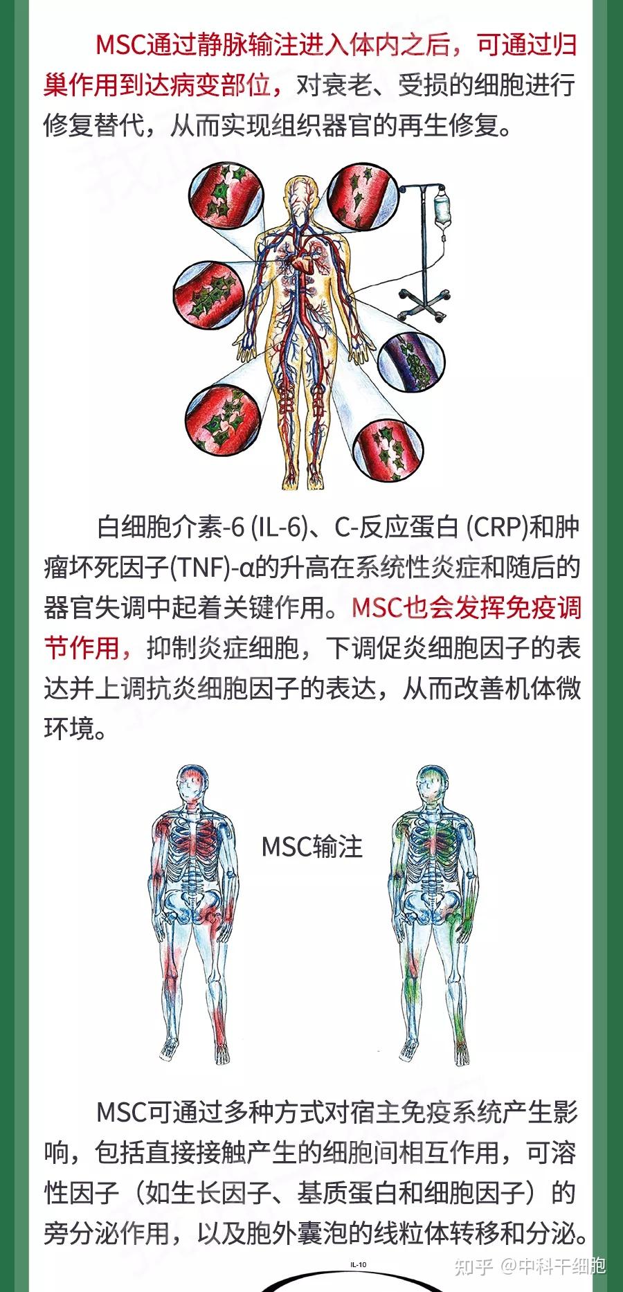 干细胞丨为衰弱患者 带来高质量生活 - 知乎