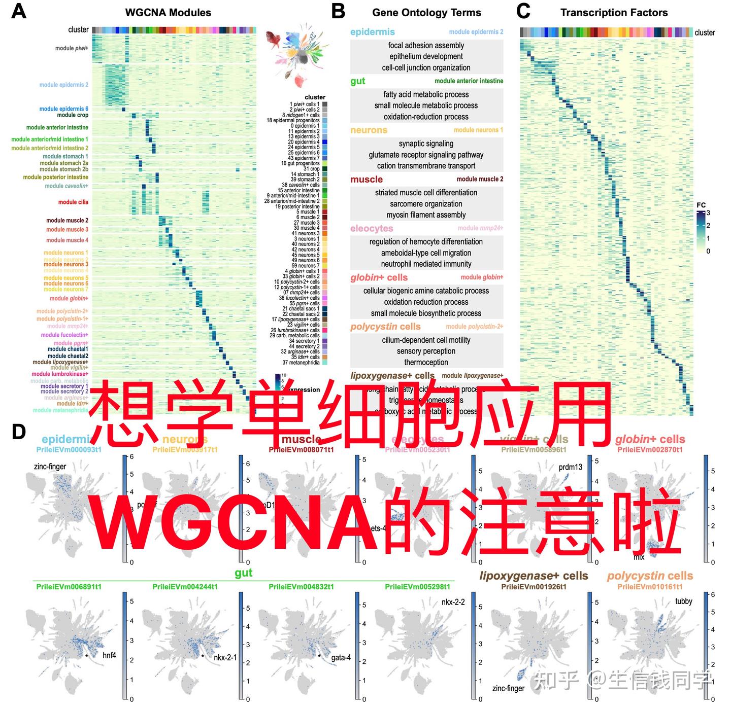 生信分析代码分享-每篇文章都有学习的特色 - 知乎