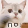 污哩喵哩