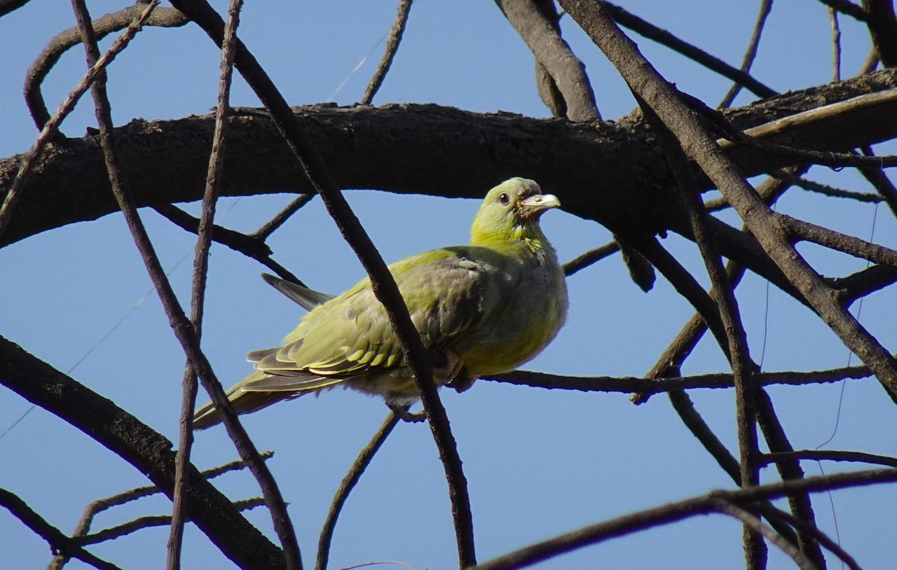 2. 精装修品质生活