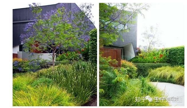 设计基础专题|种植设计全攻略 - 知乎
