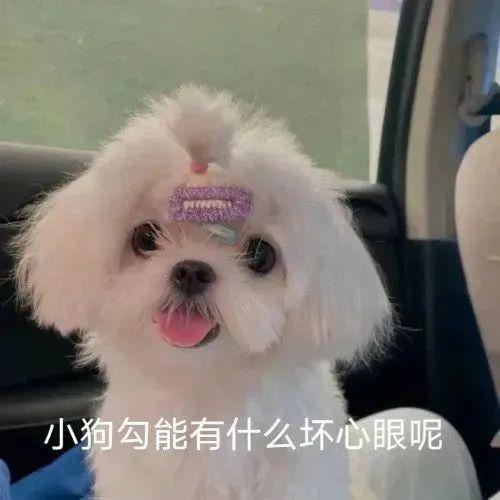 女生撒娇专用表情包,速速收藏! - 知乎