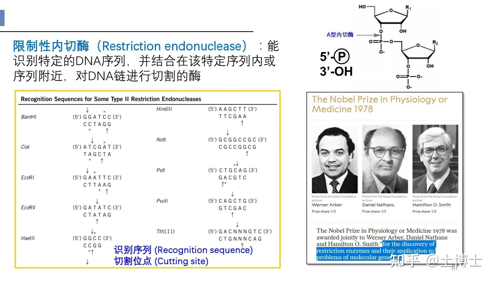 请问同源重组连接怎么看平末端还是黏性末端? - 知乎