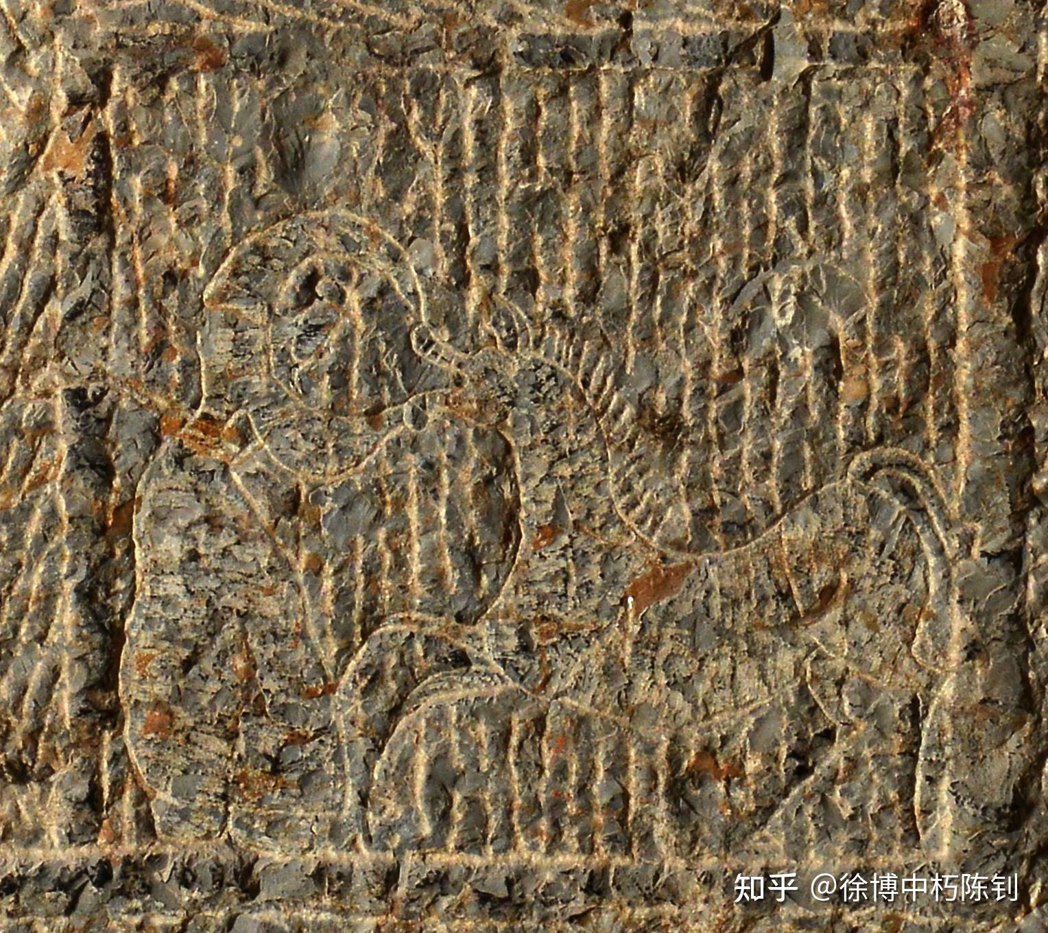 博物馆里有哪些让你印象深刻的「马」题材文物展品? - 知乎