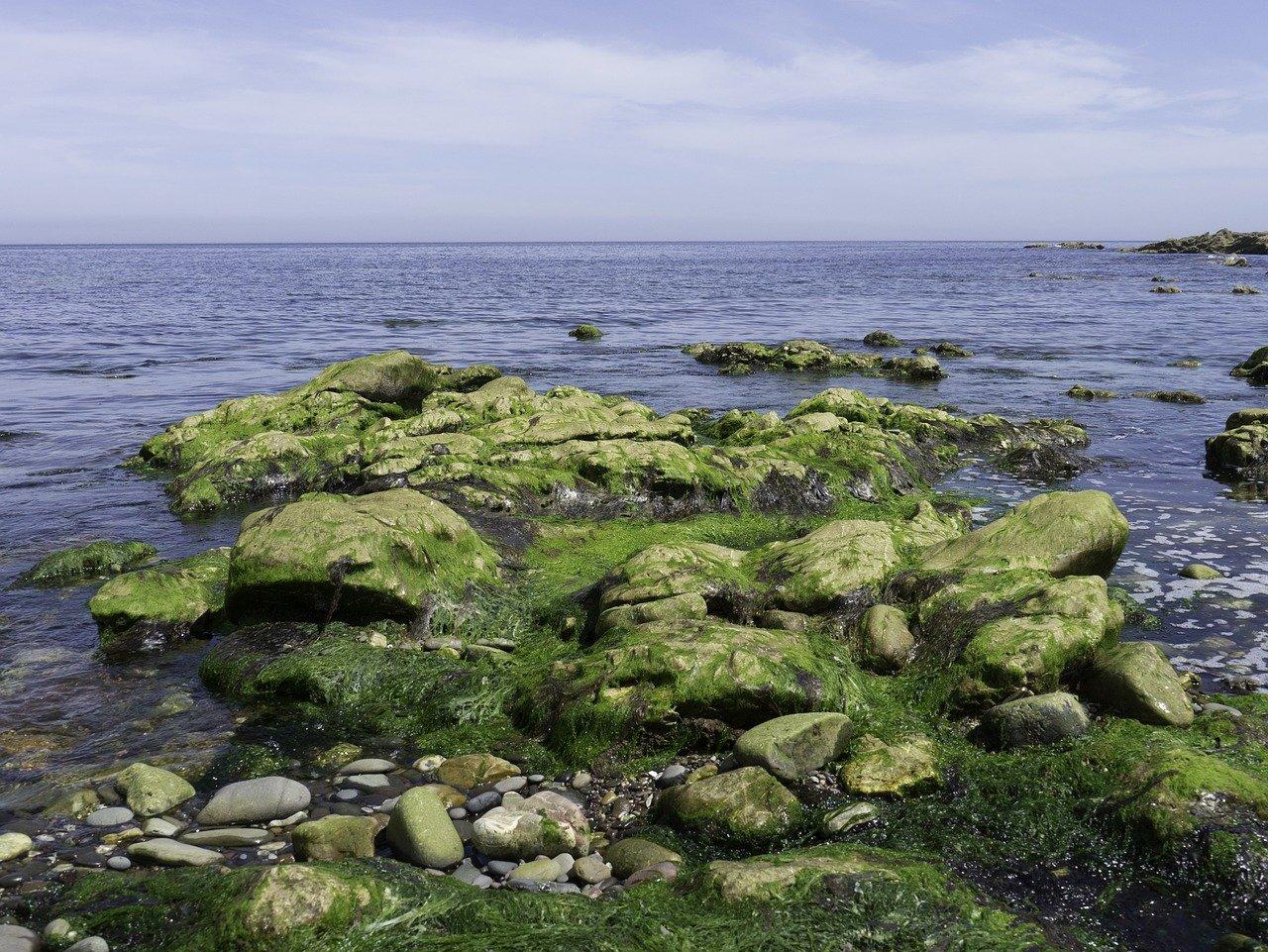 海滨别墅稀缺出售