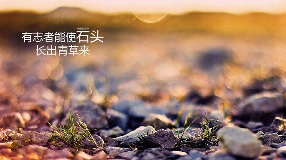 说啥也没用不如不说 v2-d60c50432811495134a6a620a2ec1d92_1440w.jpg?source=172ae18b