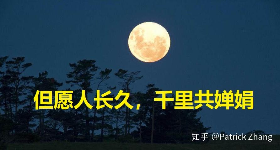 但愿人长久,千里共婵娟,除了这个还有什么类似的诗句?