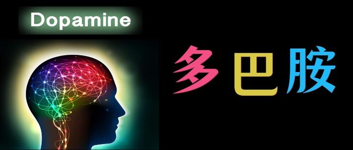 多巴胺:从肠道到大脑,掌控你奖赏、成瘾与健康的“超级信使” - 知乎