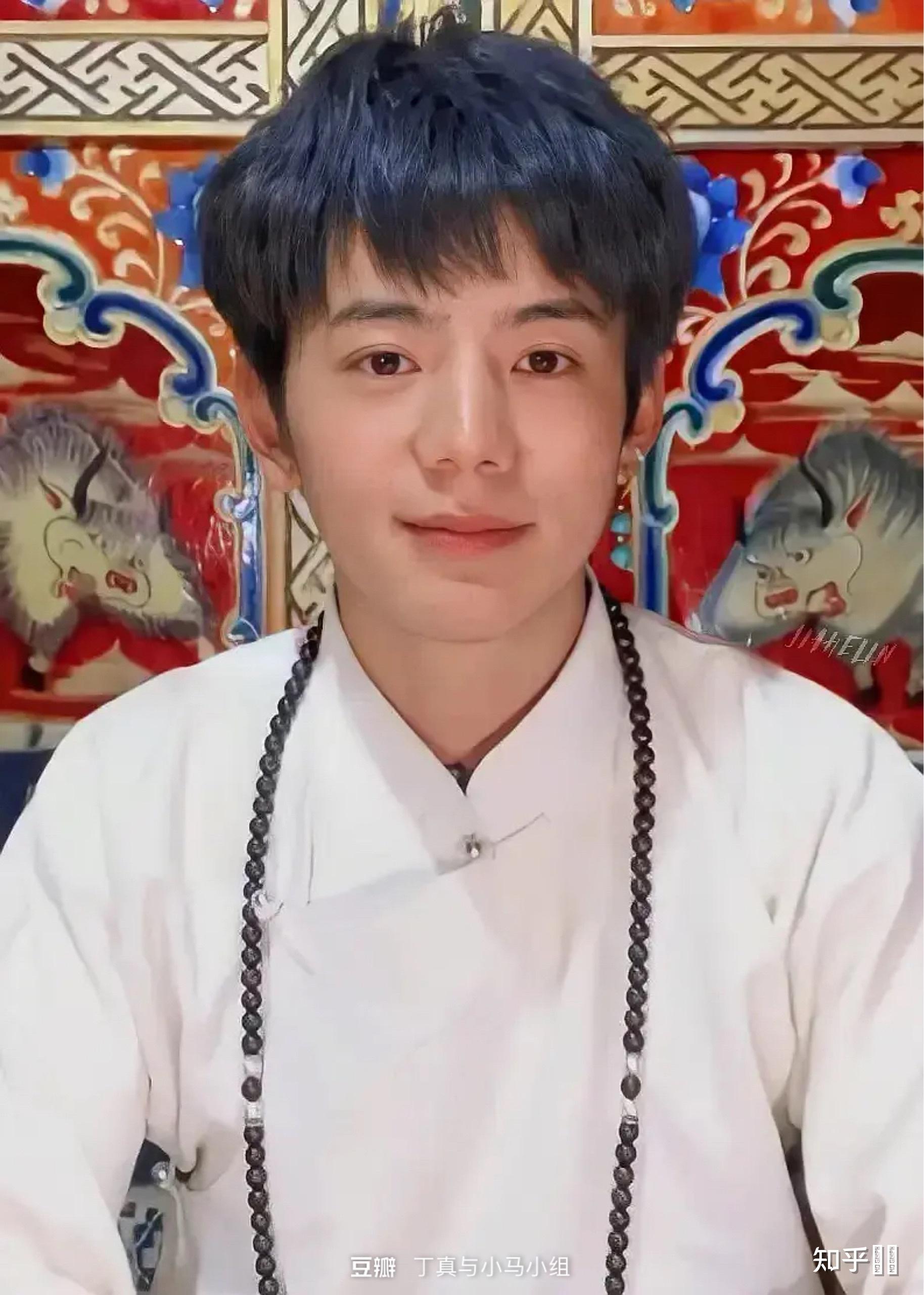 我觉得丁真并没很帅是我酸了吗