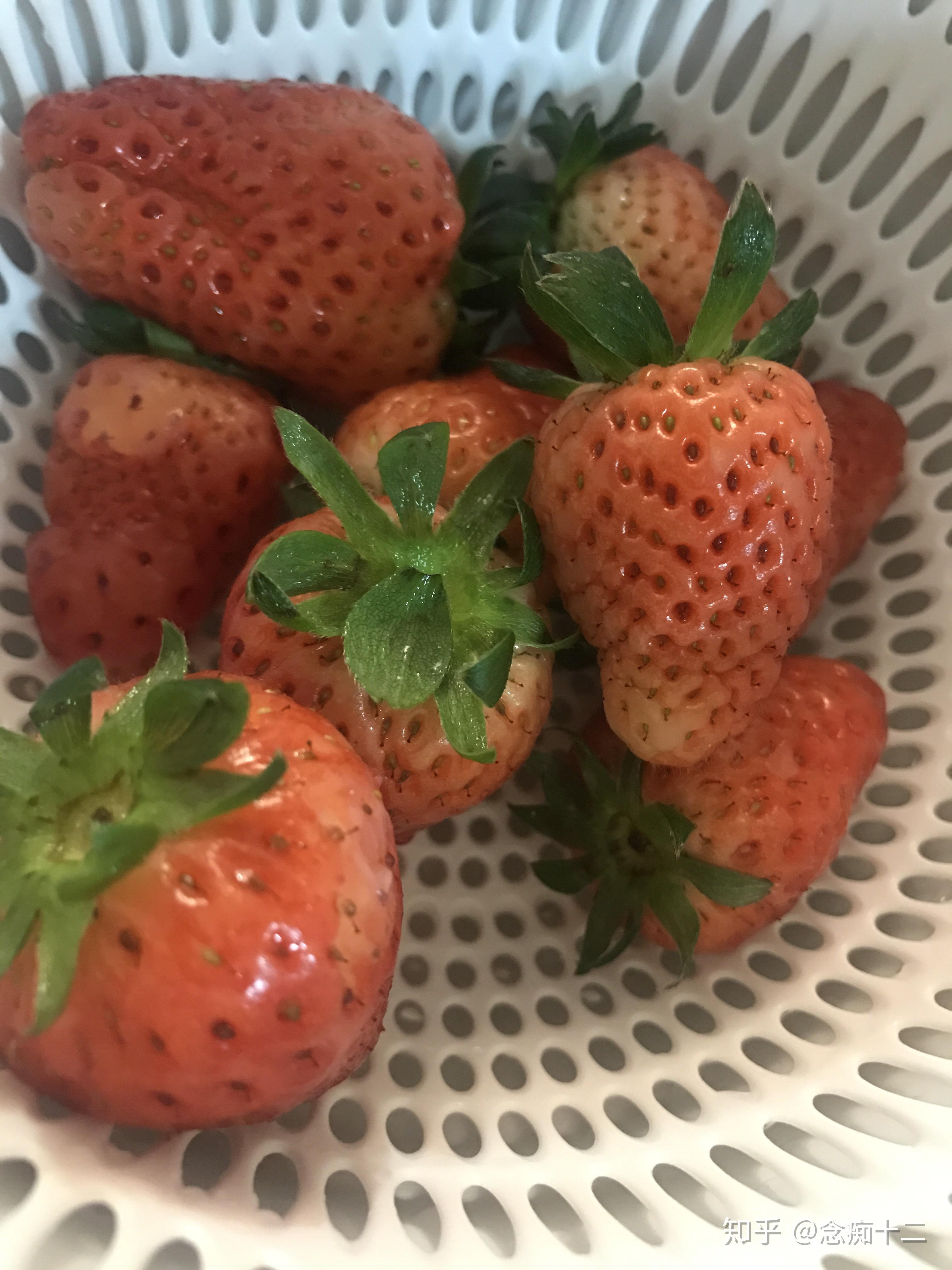 草莓籽上有黑色的像毛毛一样的东西