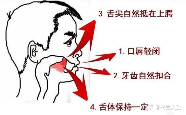 舌抵上颚好处多,不用记,照做就能有收获 - 知乎