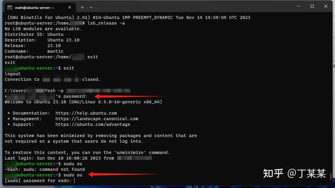 Ubuntu server24 04 2 redis7 4 2 