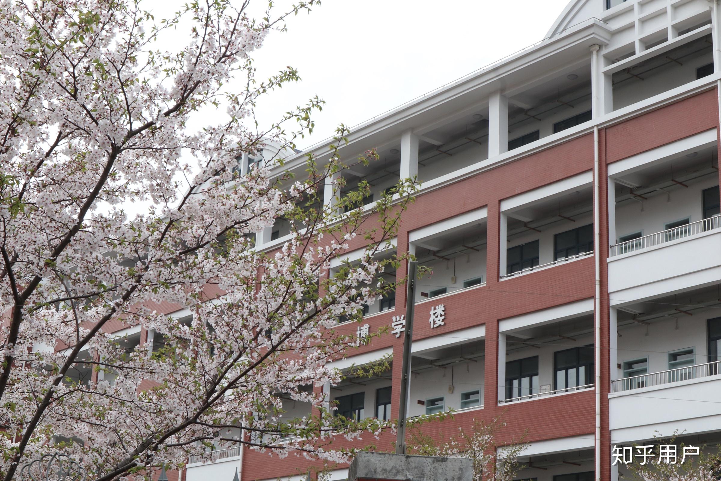 上海市浦东新区川沙中学南校怎么样?