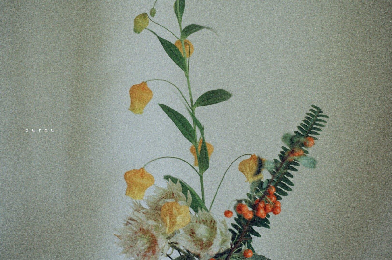 有哪些好看的高清北欧风电脑壁纸