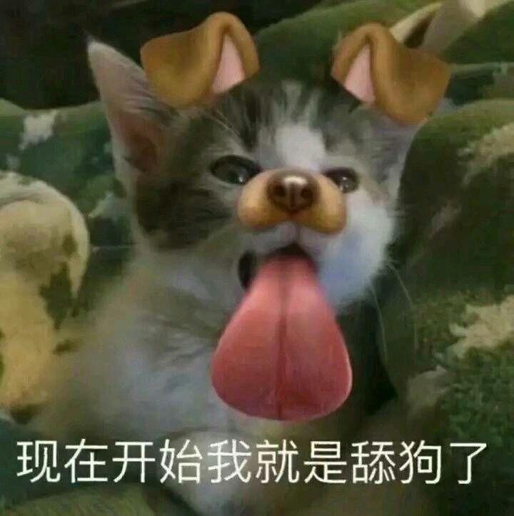 知乎