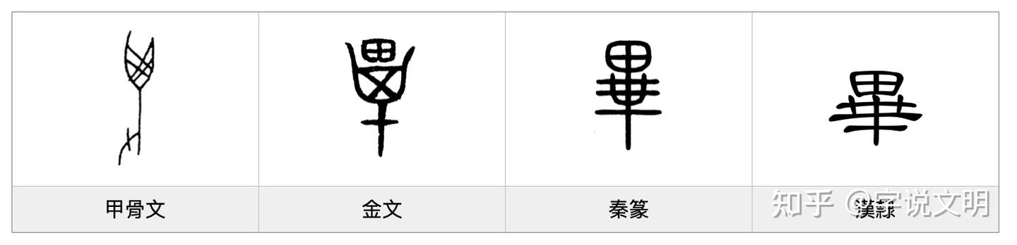 毕——每日一字·隹部字 - 知乎