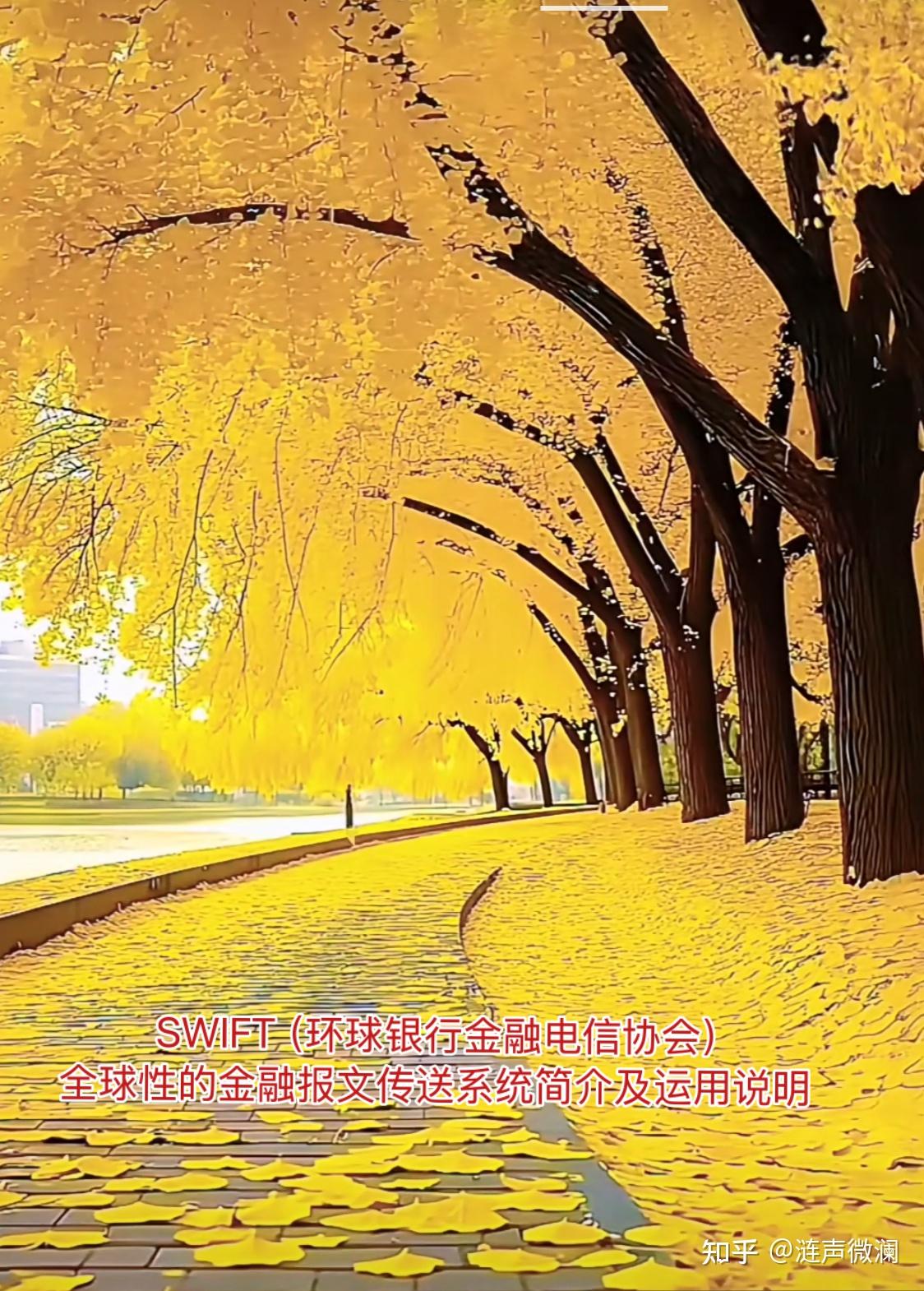 SWIFT（环球银行金融电信协会）全球性的金融报文传送系统简介及运用说明- 知乎