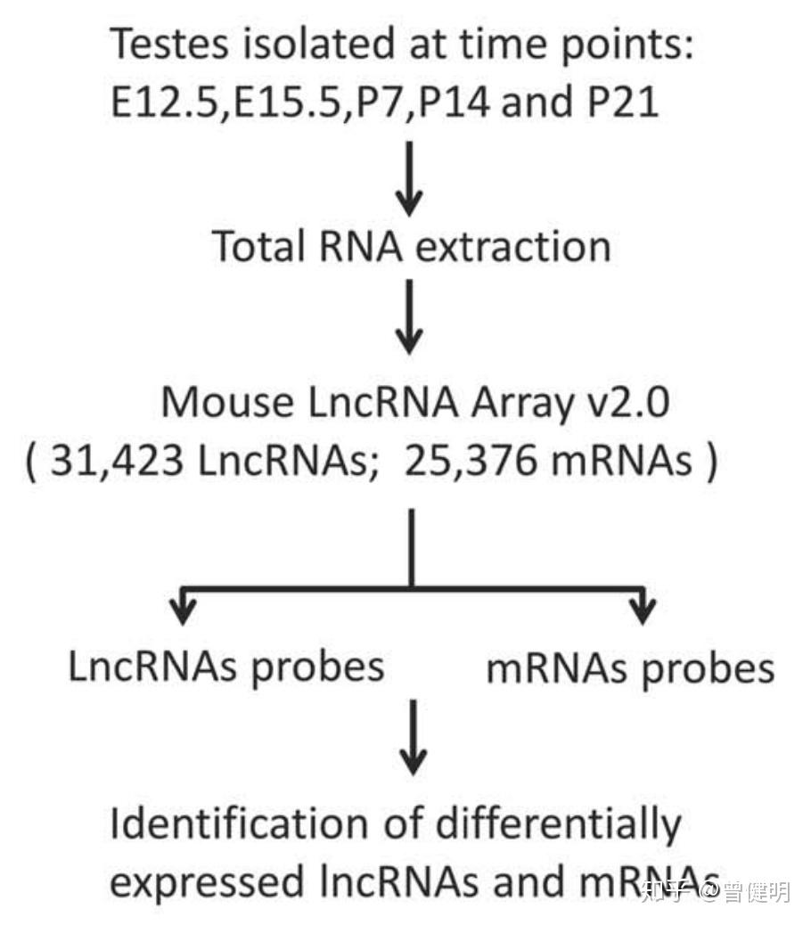 lncRNA芯片的一般分析流程 - 知乎