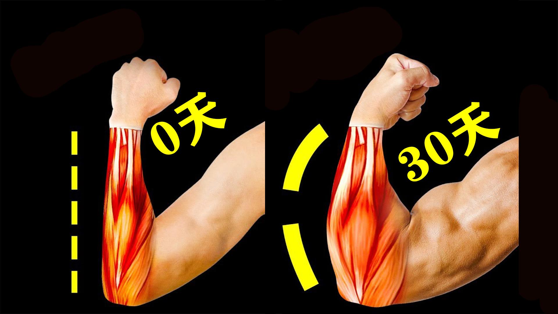 怎样锻炼能让小臂变粗? - 知乎