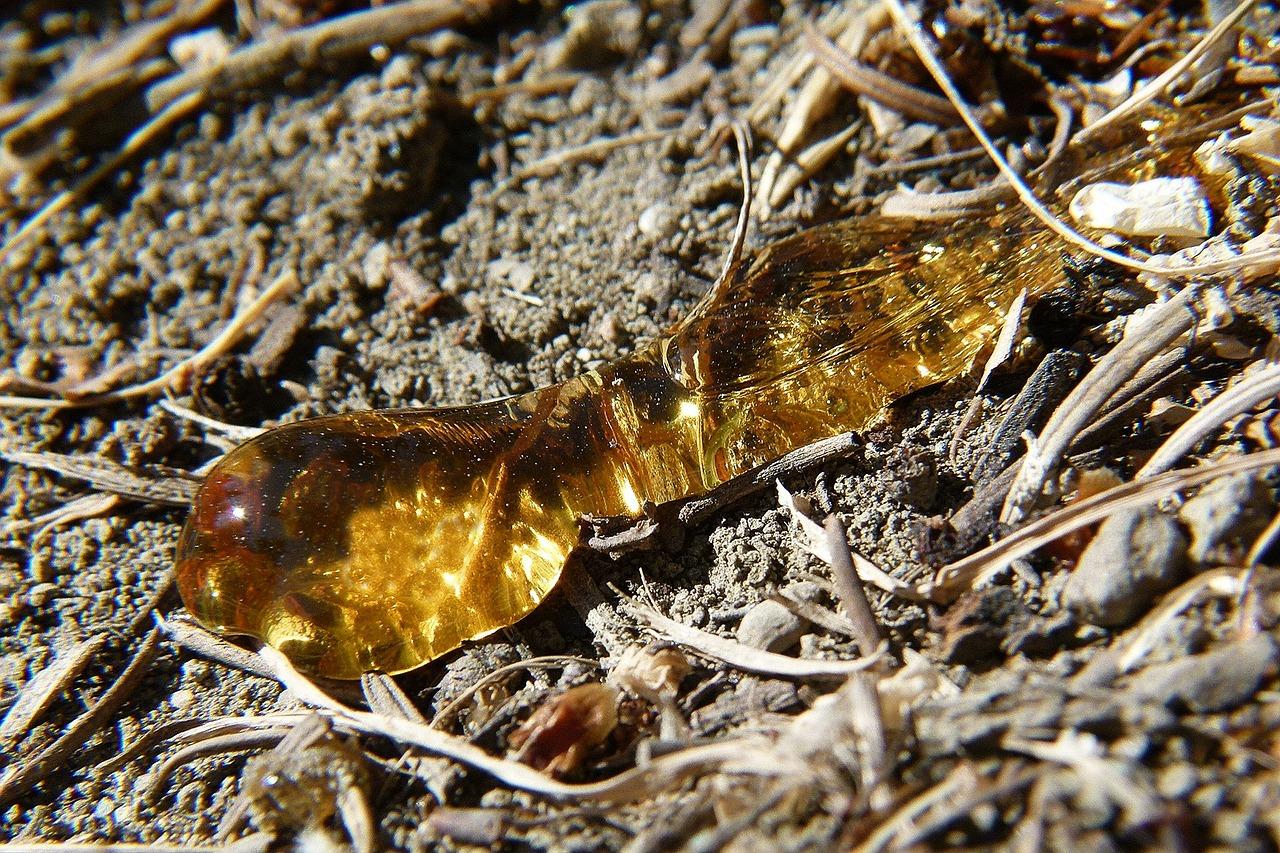 如何去除裤子上的树胶