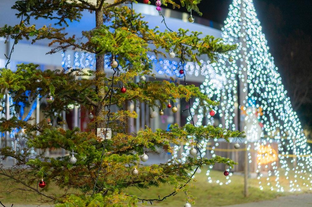 就读于日本的信州大学是怎样的体验