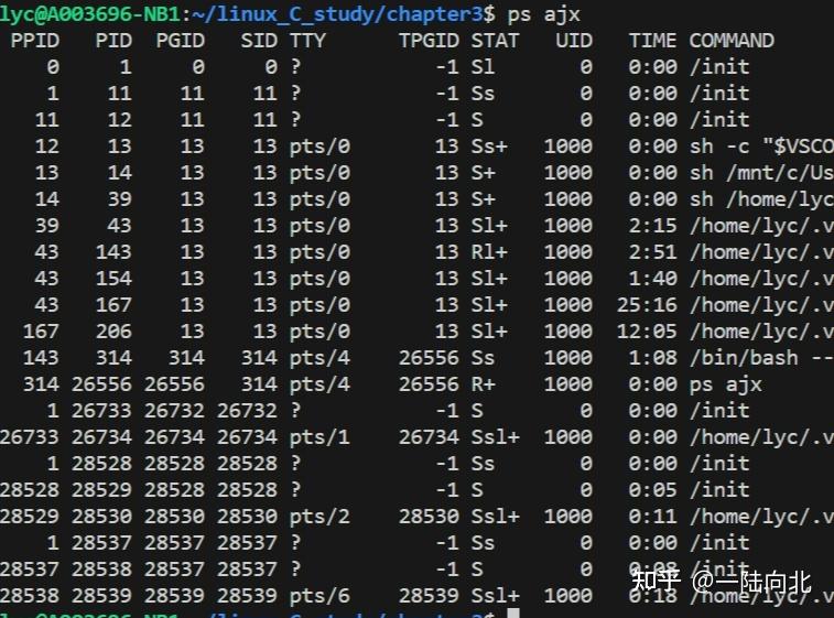 Linux 系统编程笔记2——进程 - 知乎