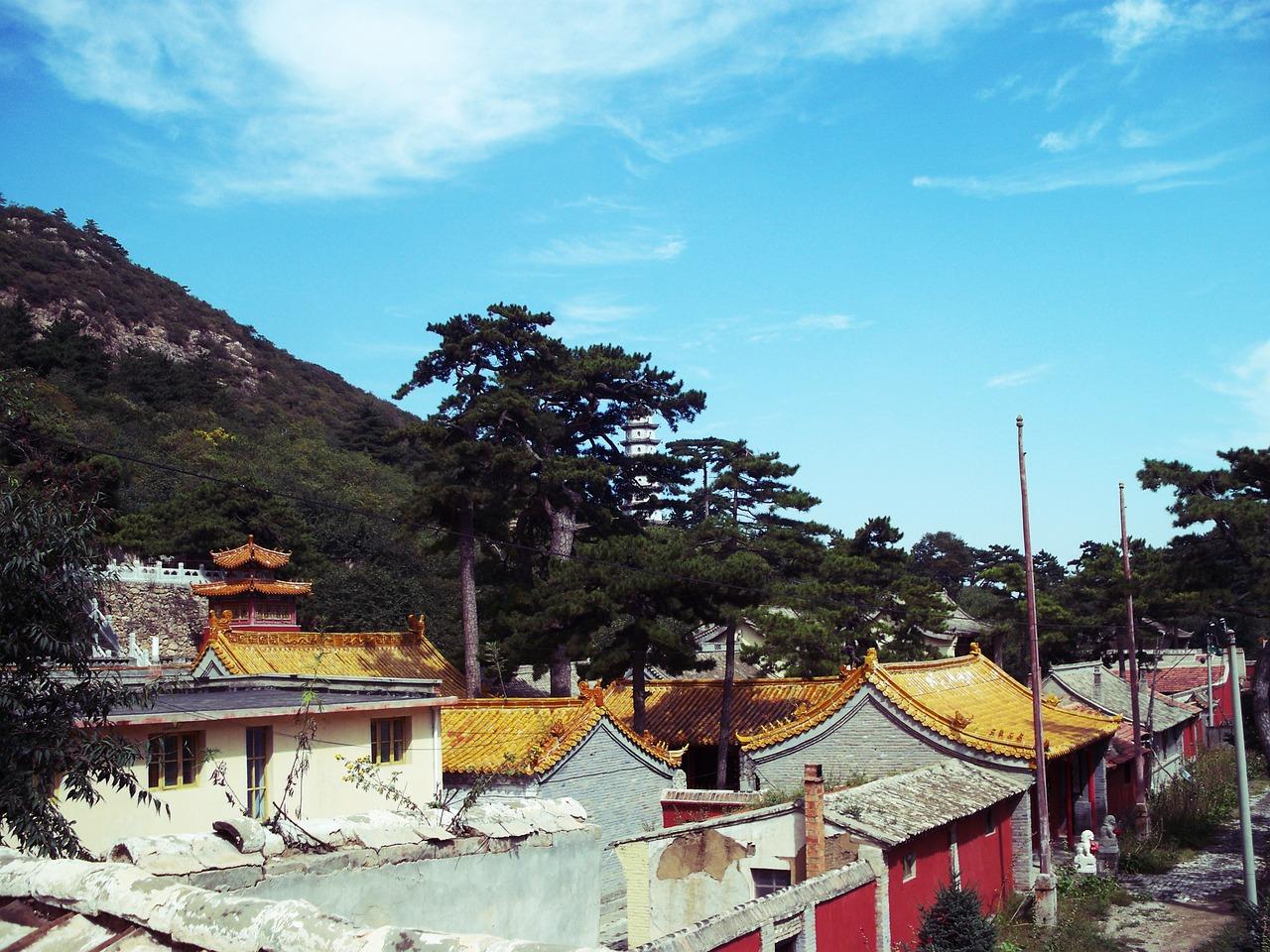 清凉寺小区在哪里