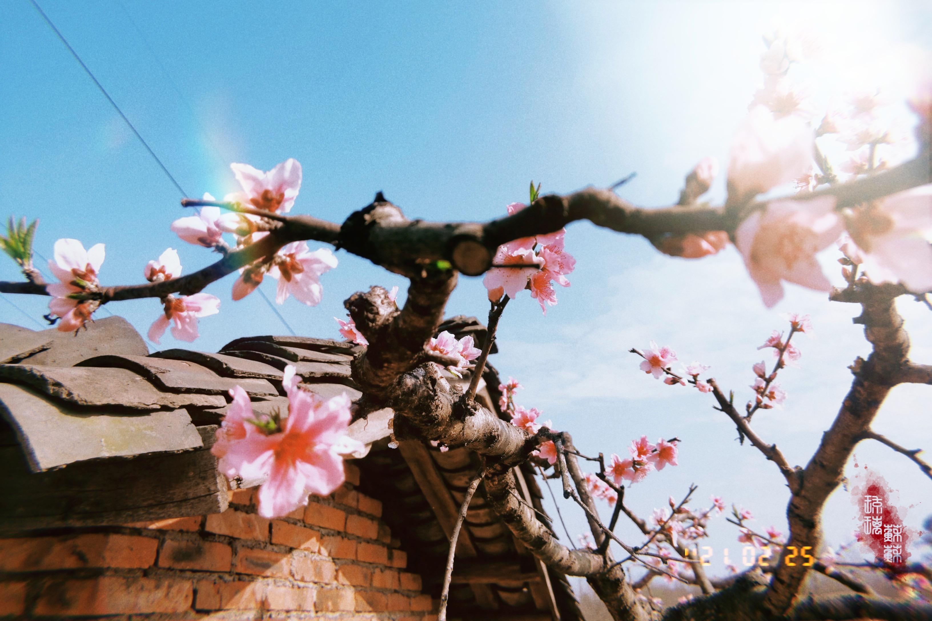 有什么壁纸能让ipad横屏和竖屏都合适