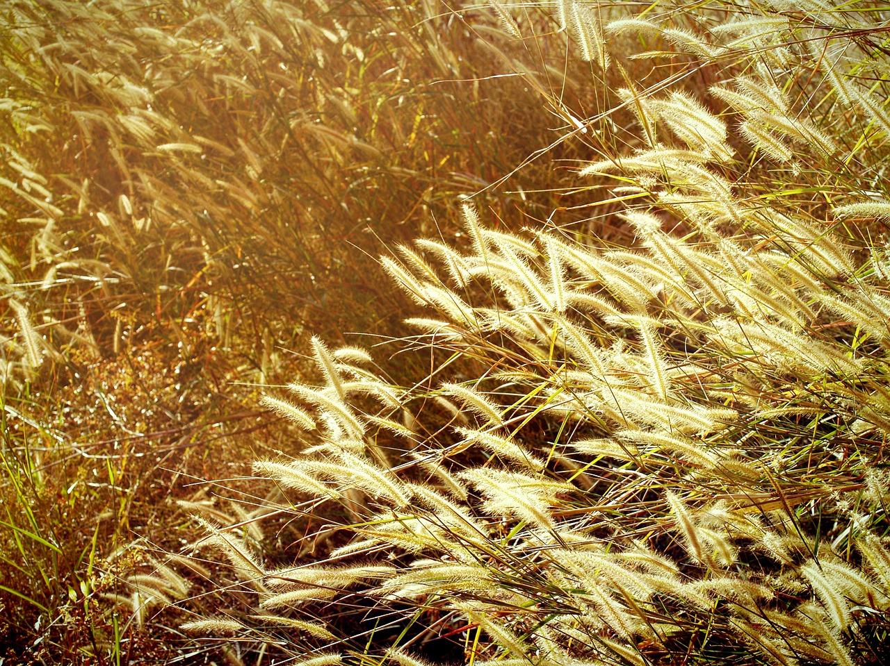 2. 平复苑弄区查询