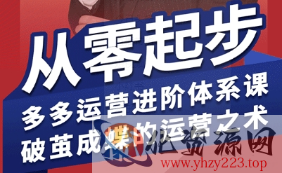 拼多多运营进阶系统课，从零起步，多多运营进阶体系课，破茧成蝶的运营之术（更新9月）