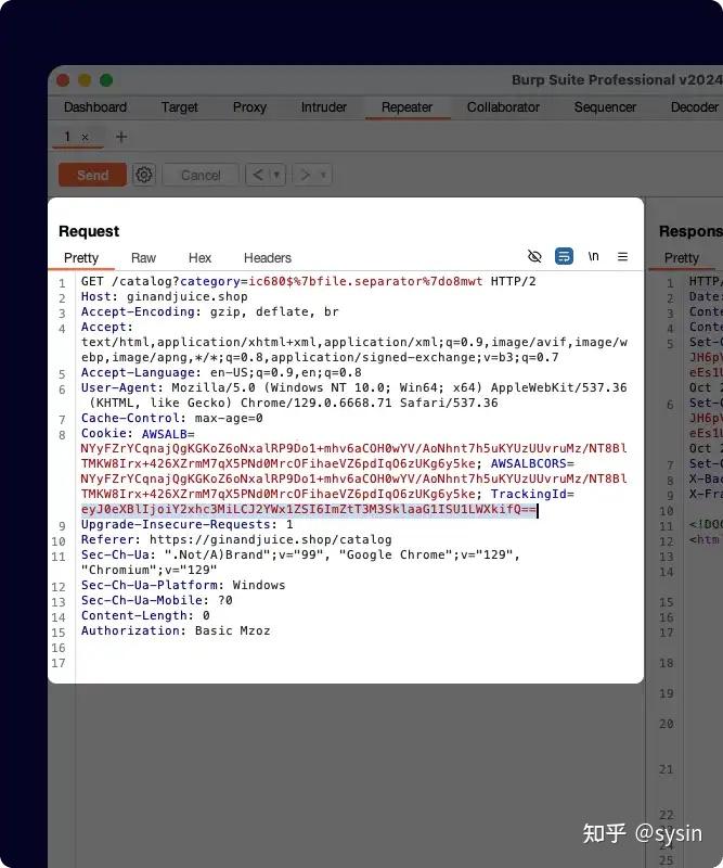 Burp Project Burp Suite Professional 2026.4 for Windows x64 - 领先的 Web 渗透测试软件 - 知乎