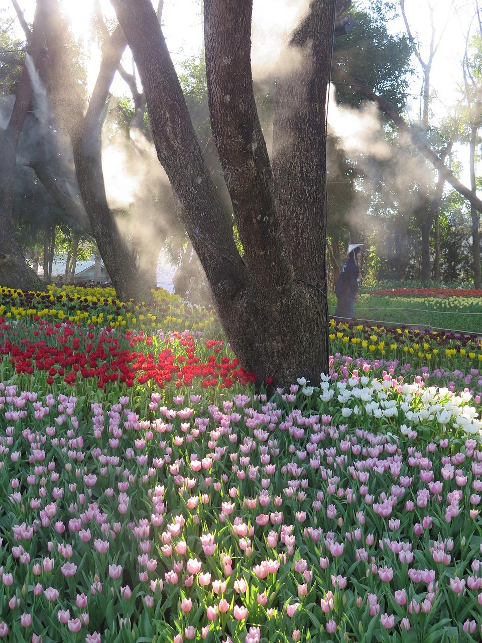 云河西园属于什么社区