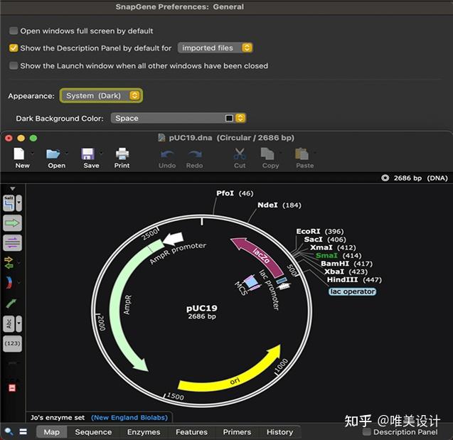 Snapback Gene SnapGene 6.0.2【分子生物】SnapGene软件中文版下载 - 知乎