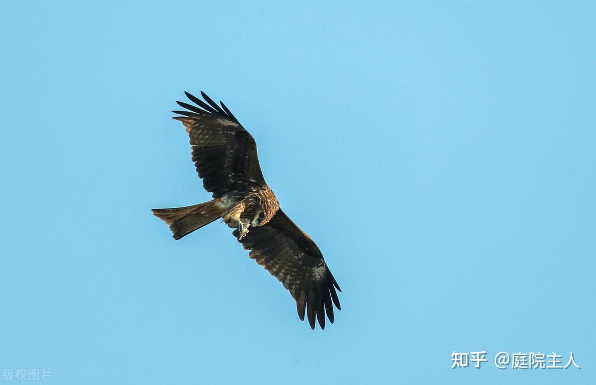 什么是大同世界？为什么促进大同世界？怎样实现大同世界？ - 知乎