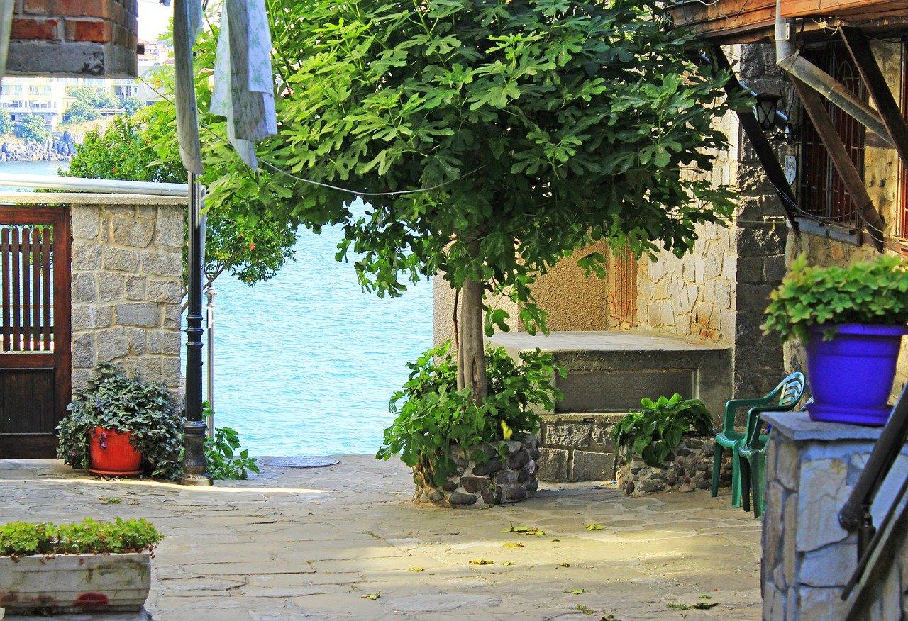 3. 名家书法雅致