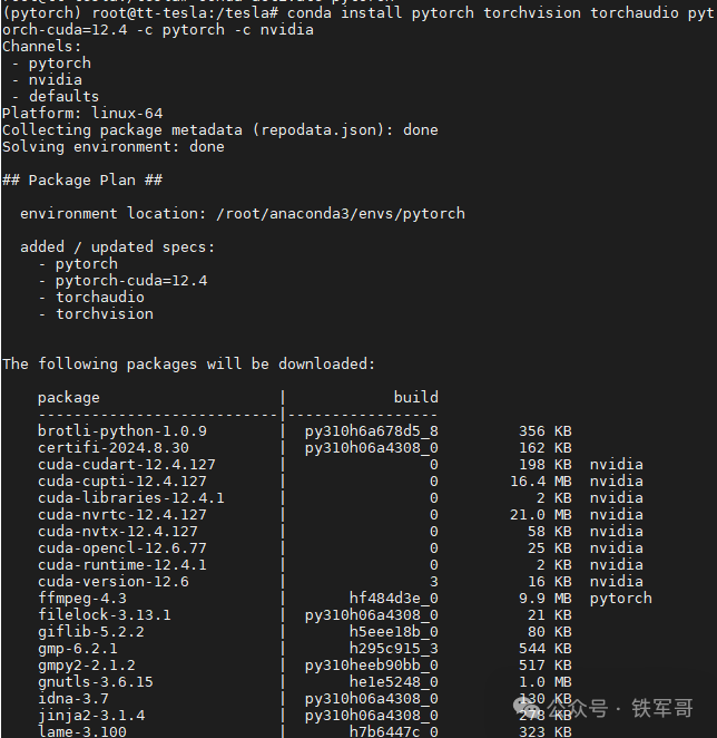 Ubuntu tesla p4 anaconda cuda pytorch 