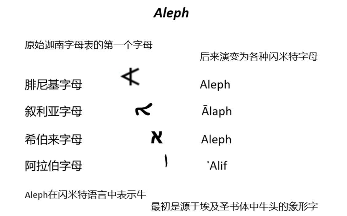 A：第一个字母- 知乎