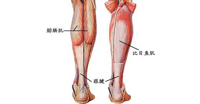脚筋被挑断就真的武功全废了吗?