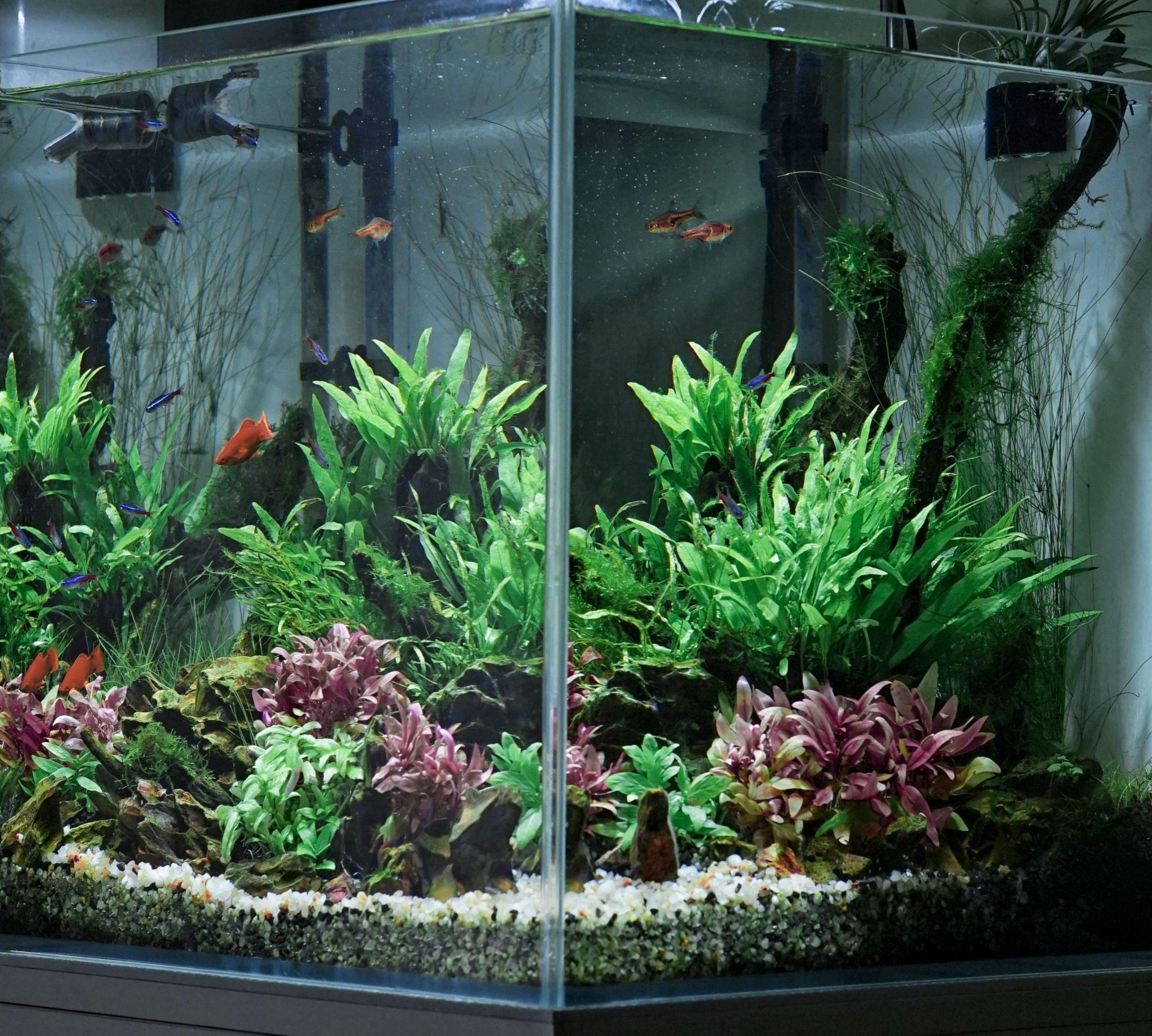 怎么样才能把一个鱼缸做出空气缸