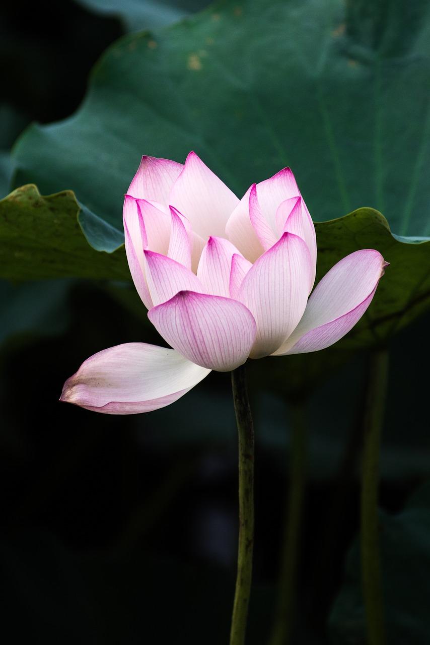 2. 长广溪湿地公园