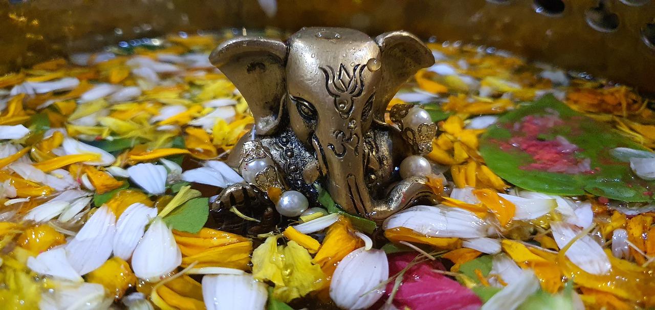 十一年变迁:记忆中的点滴