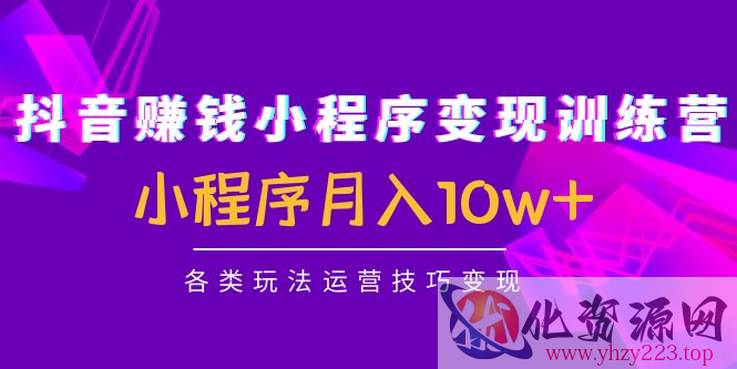 抖音赚钱小程序变现训练营：小程序月入10w+各类玩法运营技巧变现插图