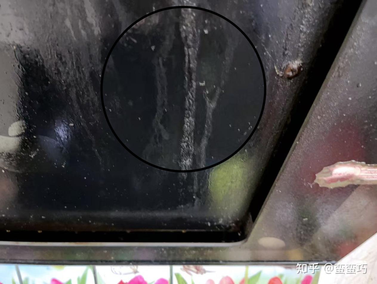 告别油烟烦恼,选对油烟机很重要!Cleadeep轻氧森林净烟机C5实际体验分享