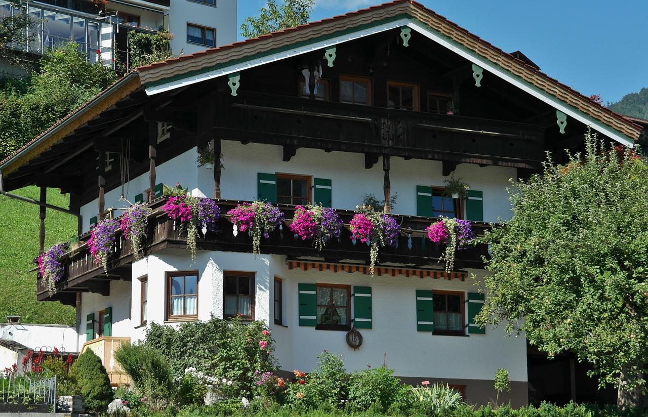 什么花草适合夫妻卧室