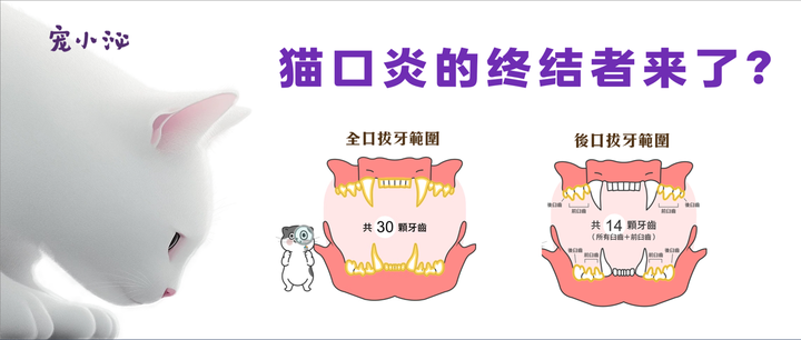 猫口炎的终结者来了 - 知乎